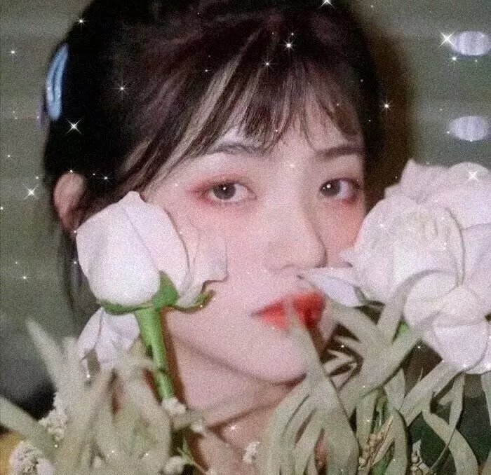 情燄感顽心